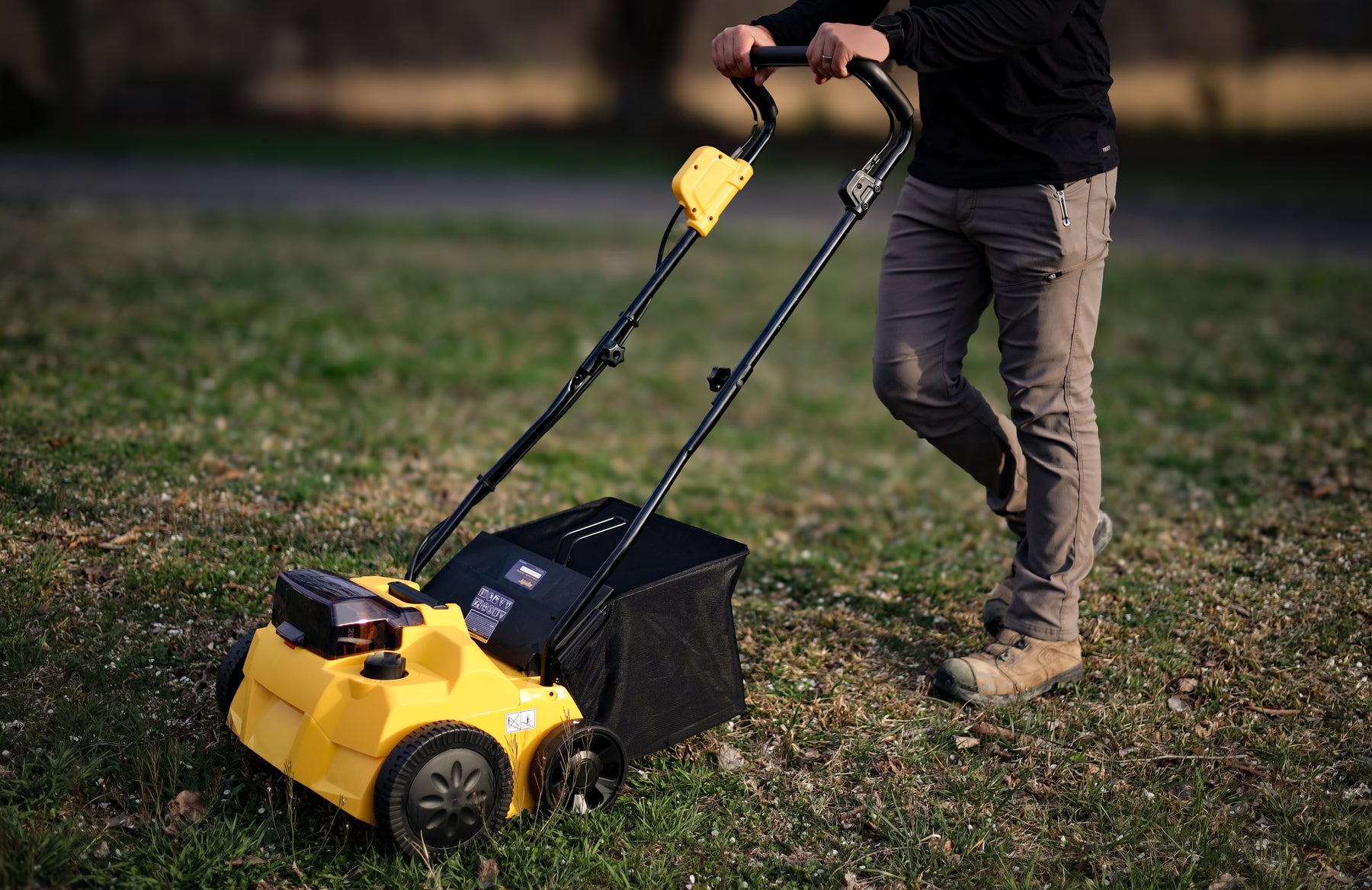 Why Does My Lawn Look Bad After Dethatching?