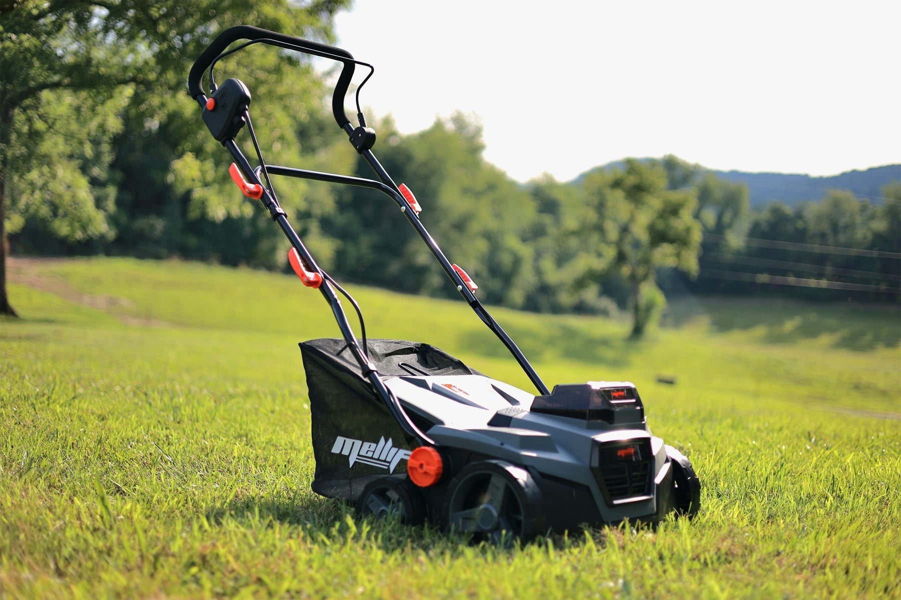 When should I dethatch my lawn?