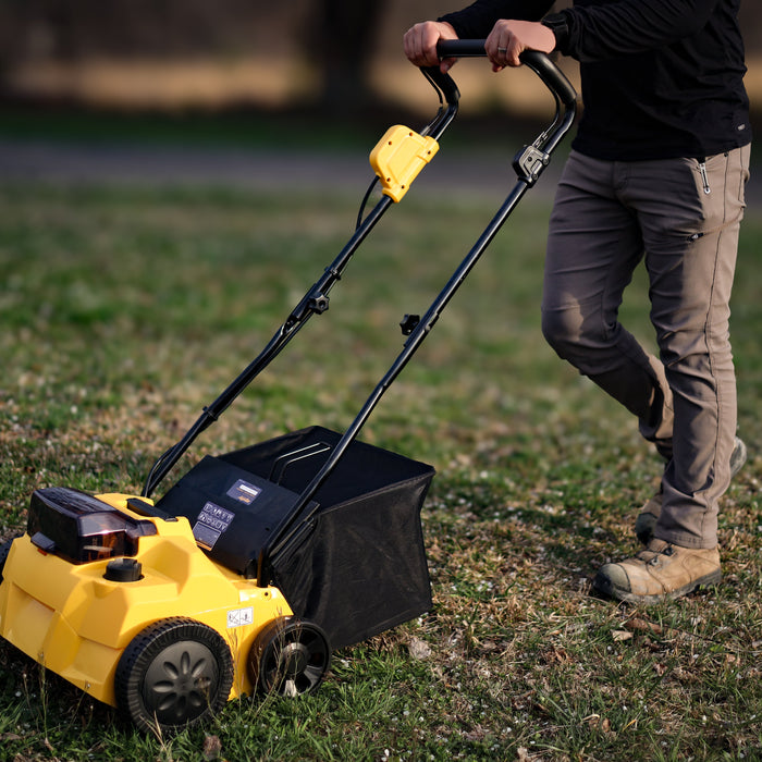 Why Does My Lawn Look Bad After Dethatching?
