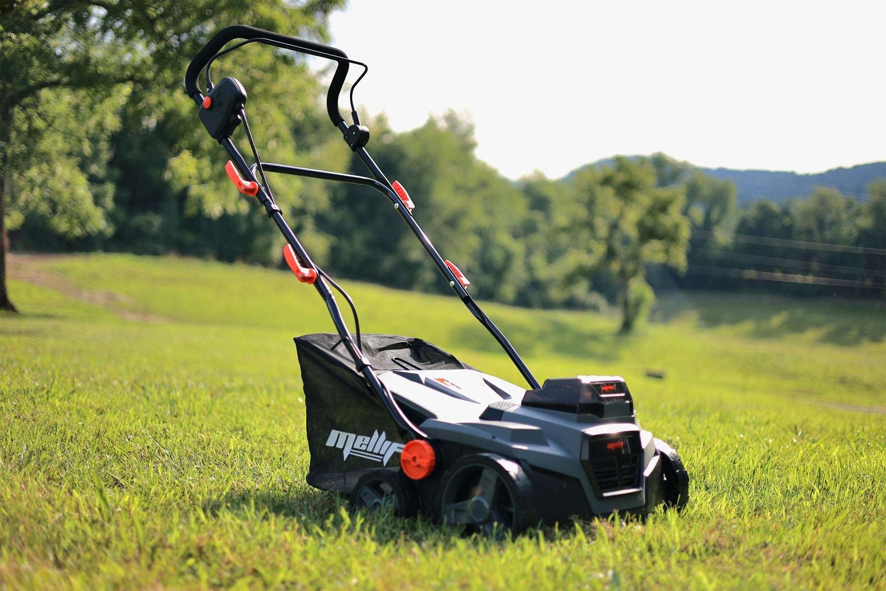 When should I dethatch my lawn?