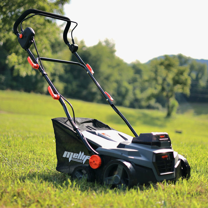 When should I dethatch my lawn?