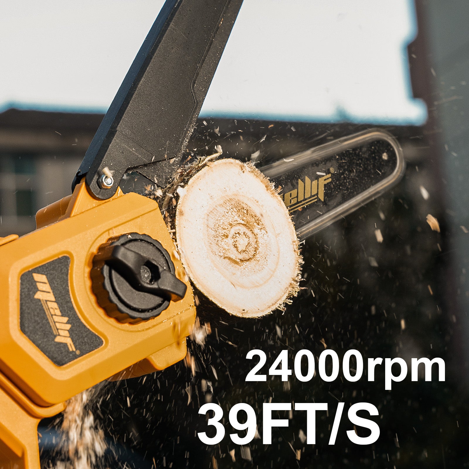 QESOO MFPOS01 2-in-1 Pole Saw
